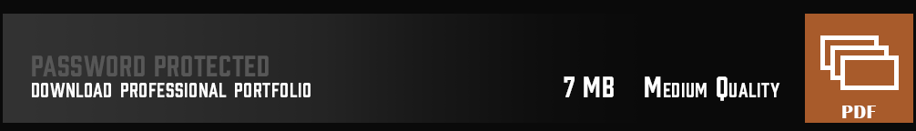 Joachim Kelz - Professional Portfolio - Medium Quality