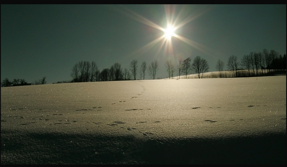 Joachim Kelz - Peilstein - Austria