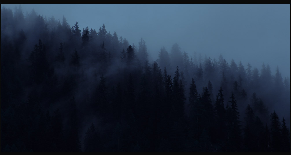 Joachim Kelz - Switzerland