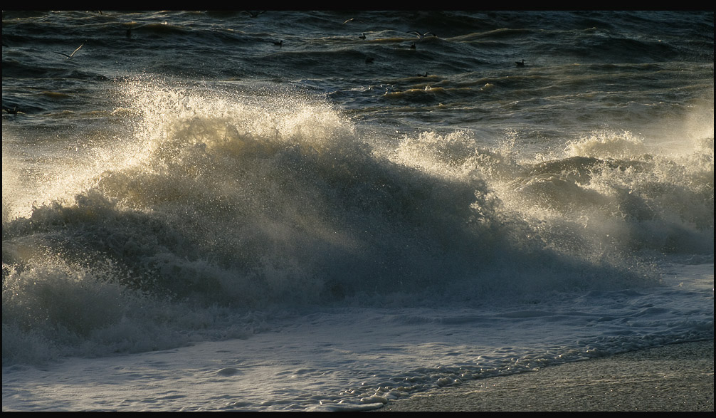 Joachim Kelz - Brighton - UK