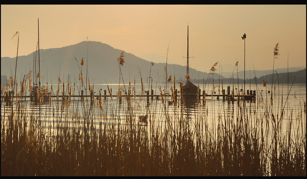 Joachim Kelz - Klagenfurt - Austria